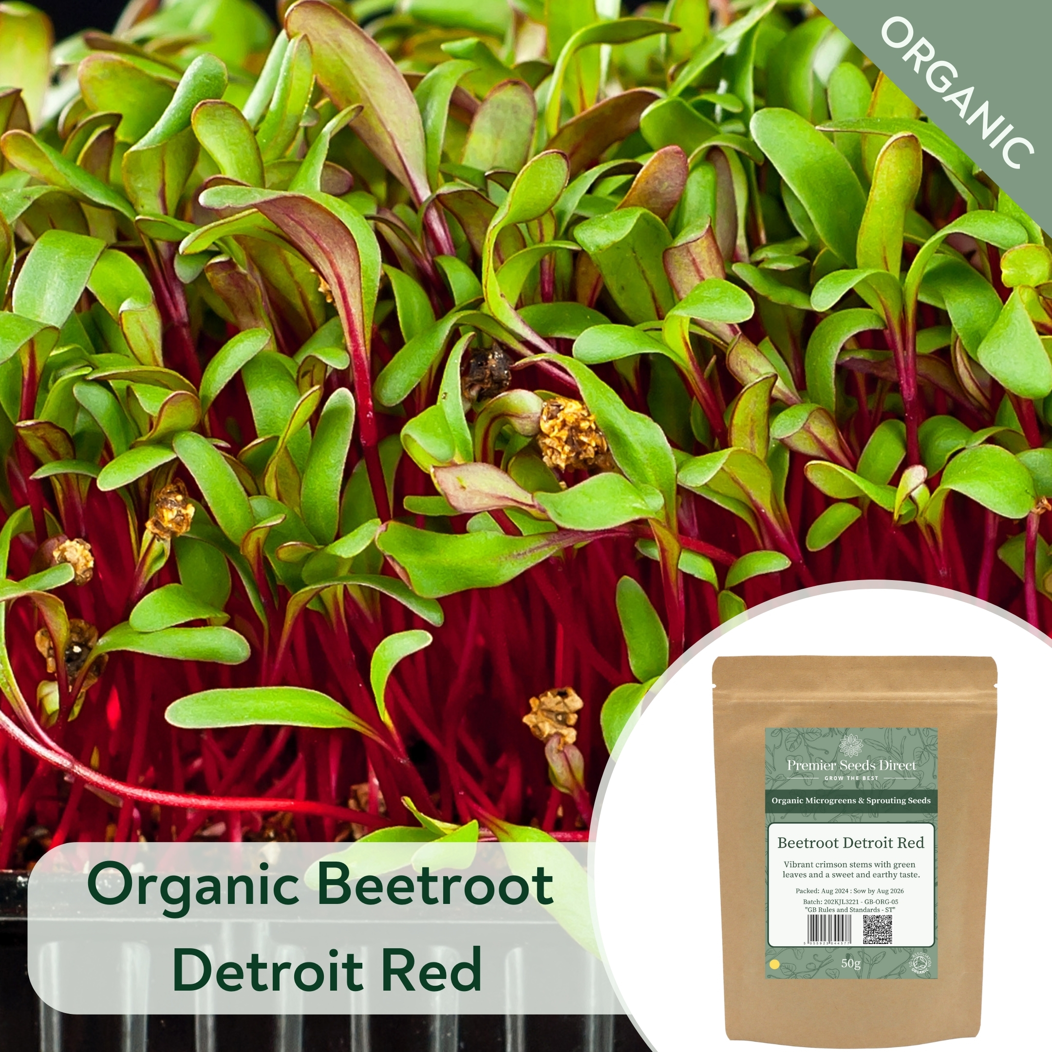 ORG Beetroot Detroit Red