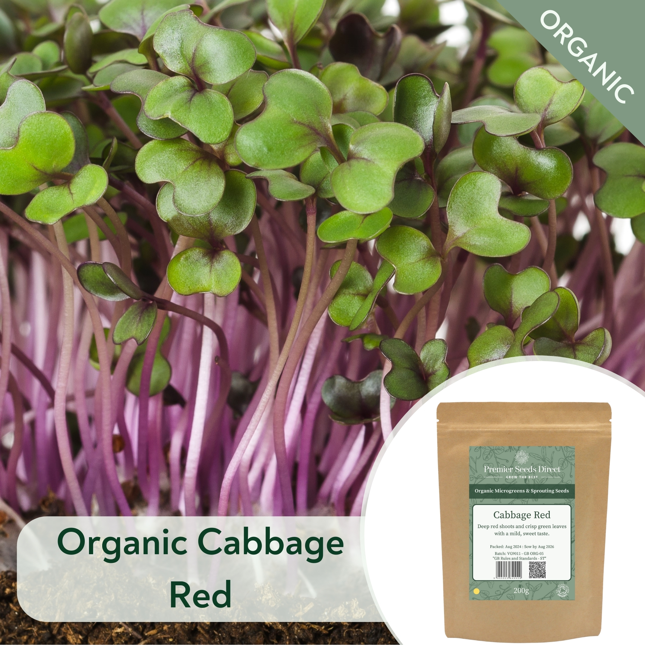 ORG Cabbage Red