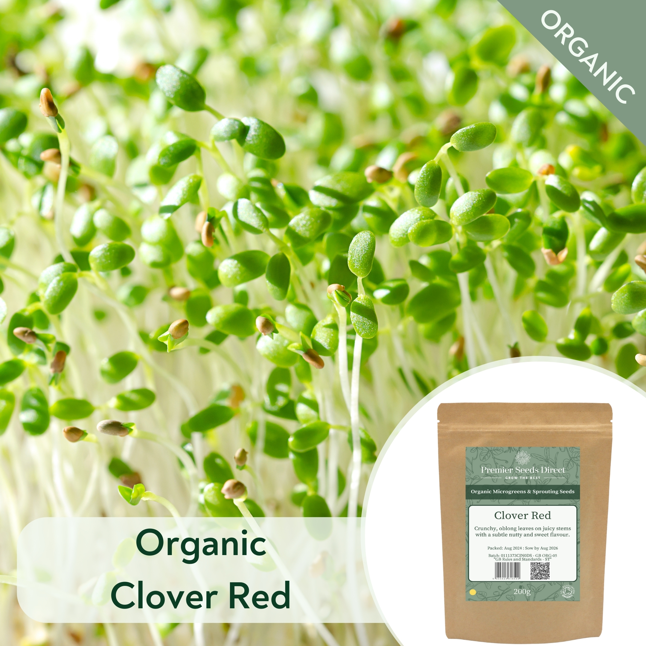 ORG Clover Red