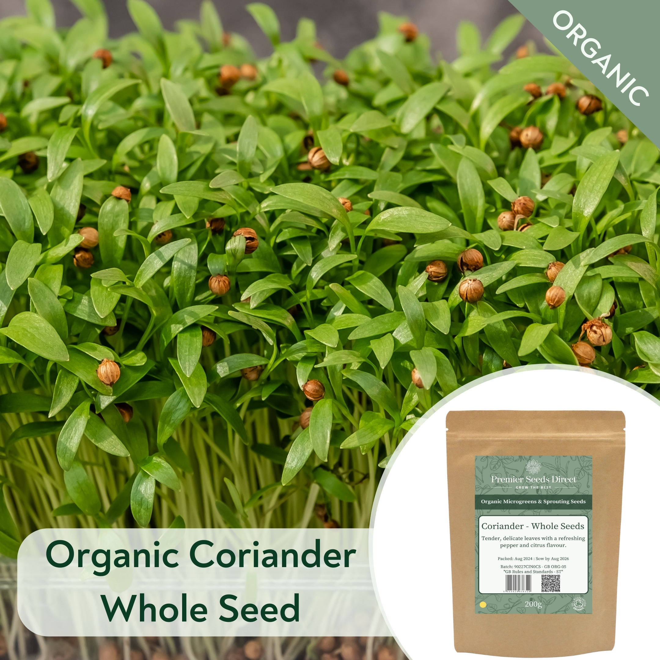 ORG Coriander Whole Seed