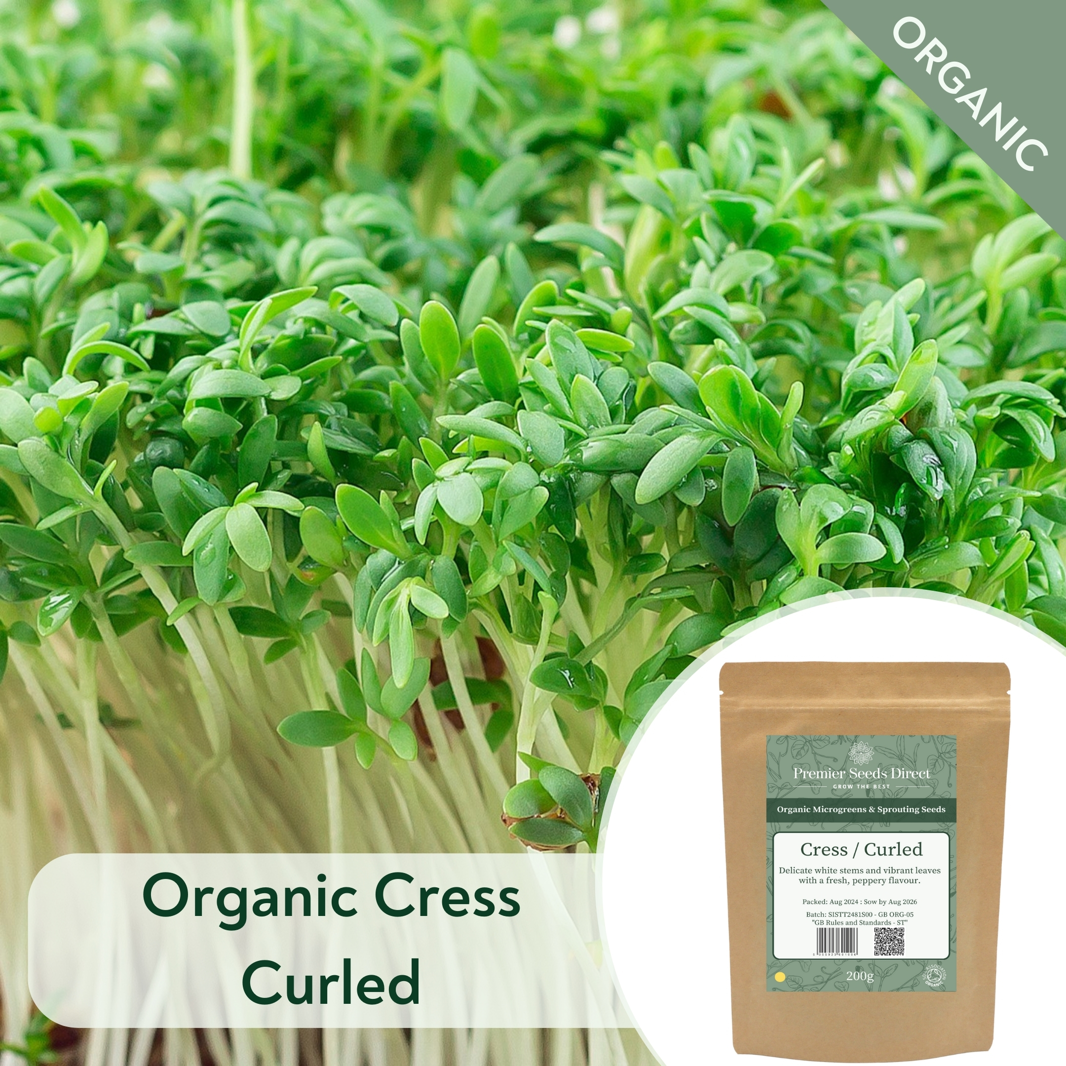 ORG Cress Curled