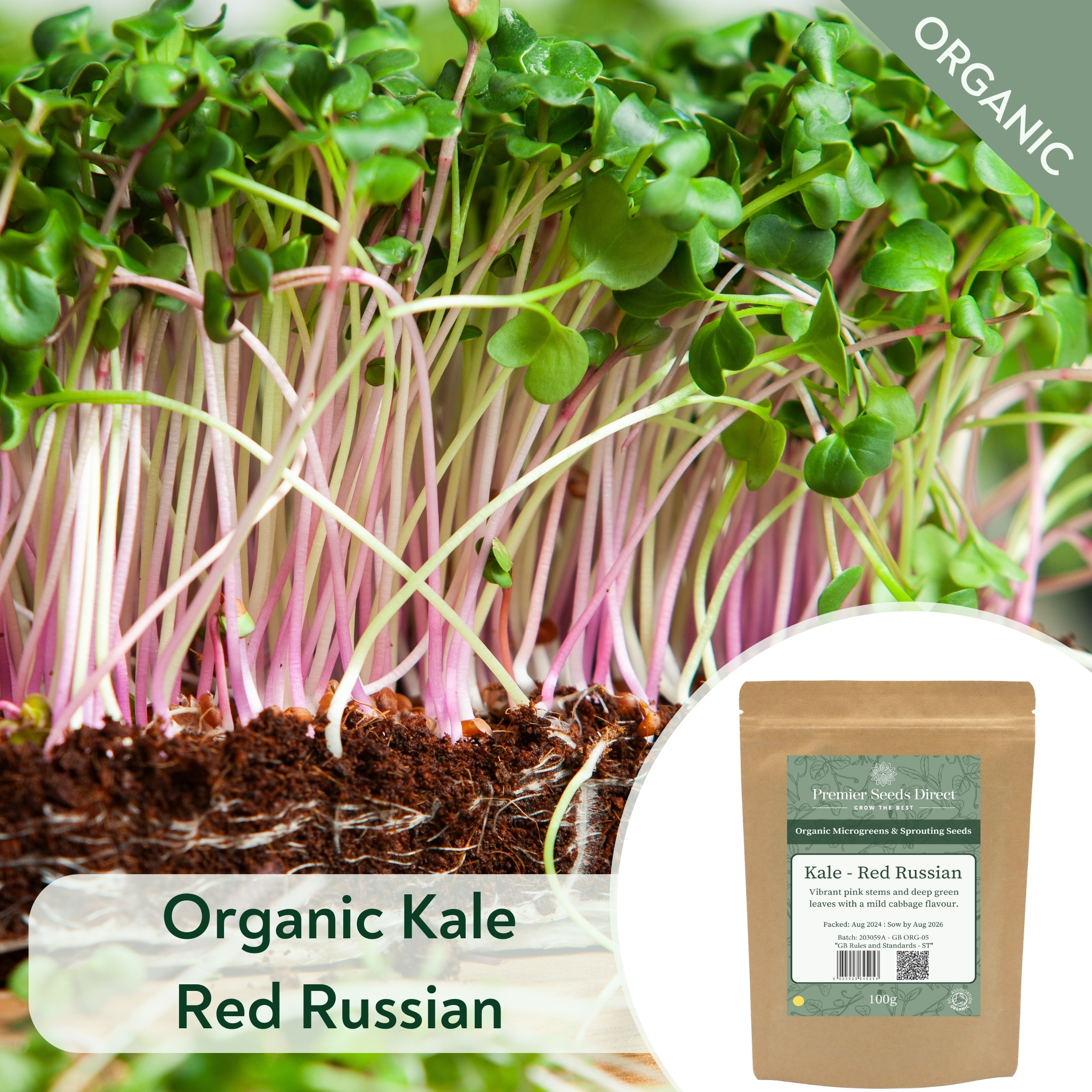 ORG Kale Red Russian