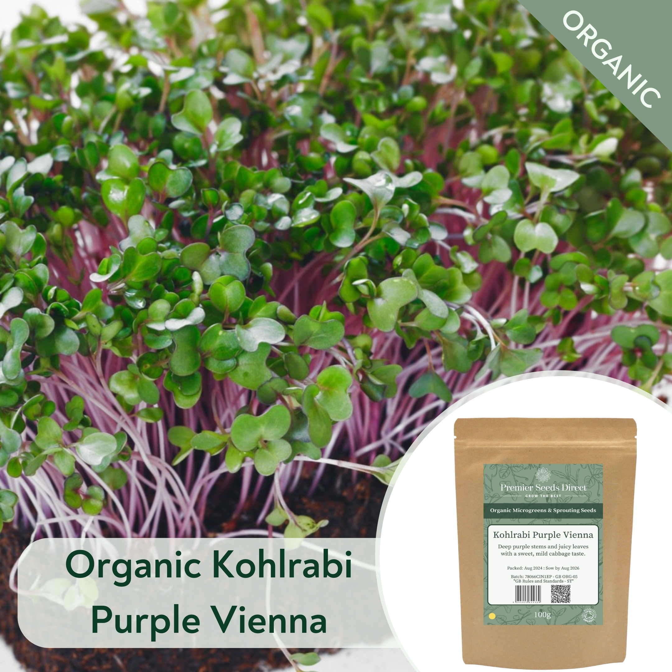 ORG Kohlrabi Purple Vienna