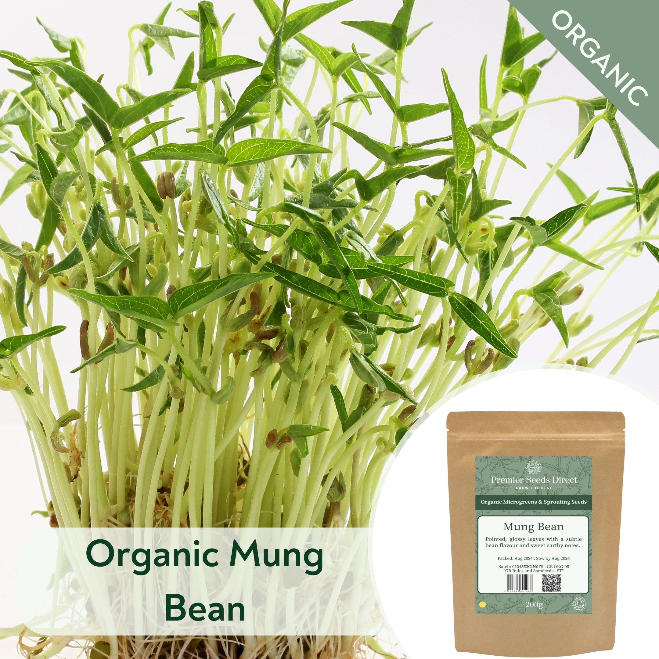 ORG Mung Bean