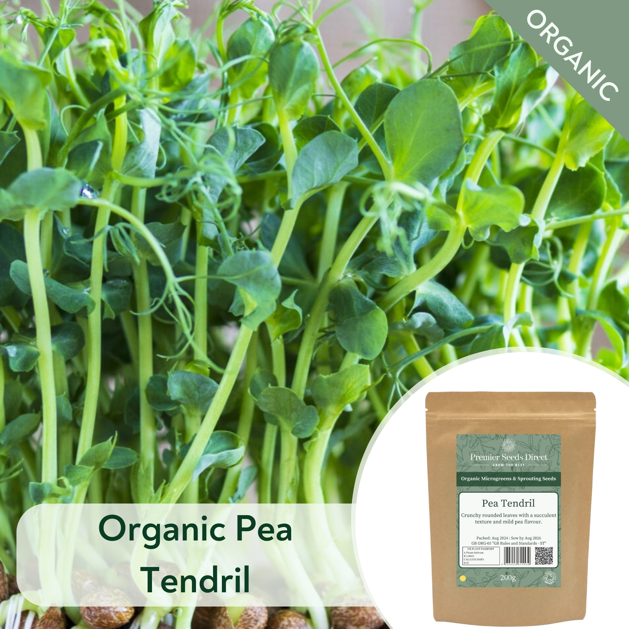 ORG Pea Tendril