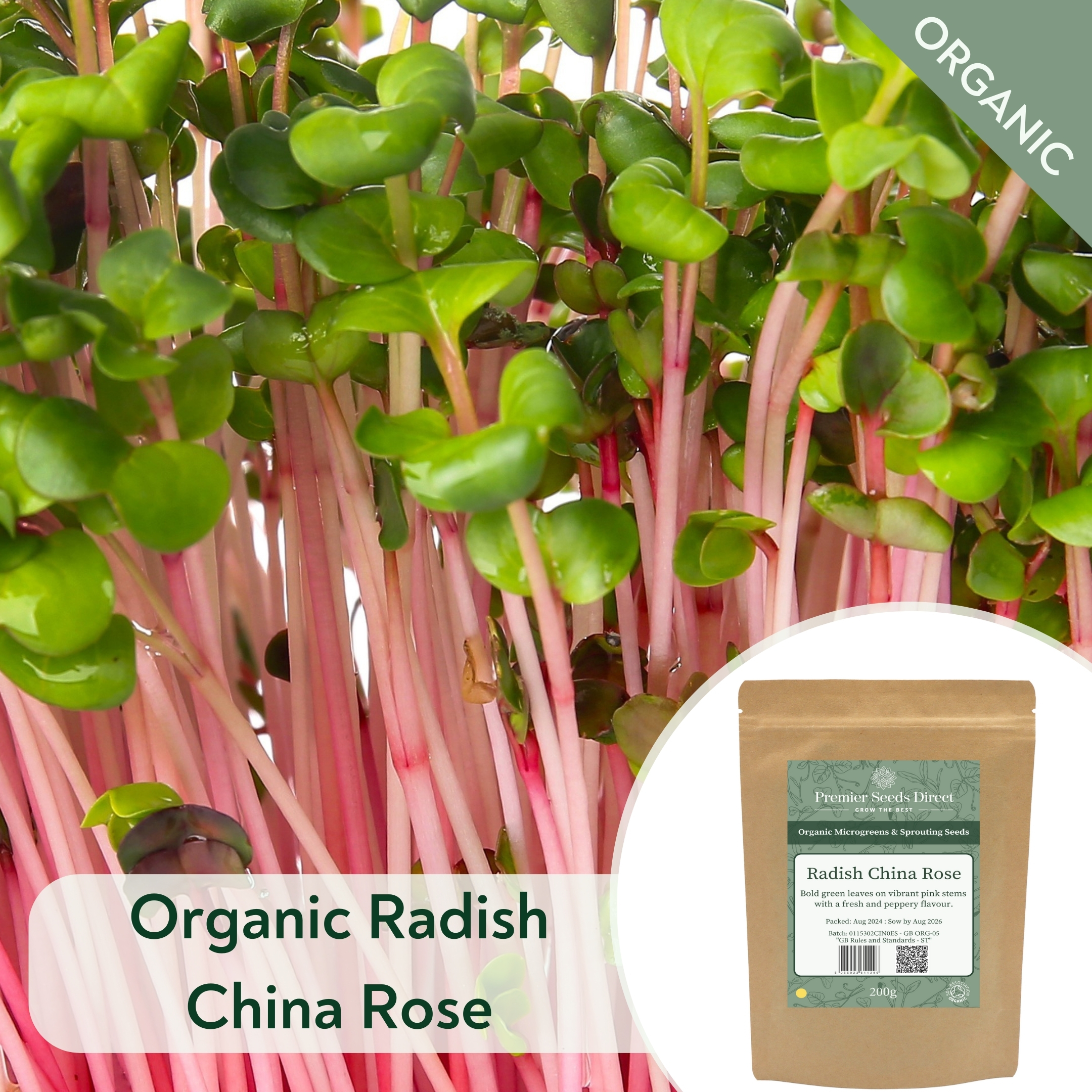 ORG Radish China Rose