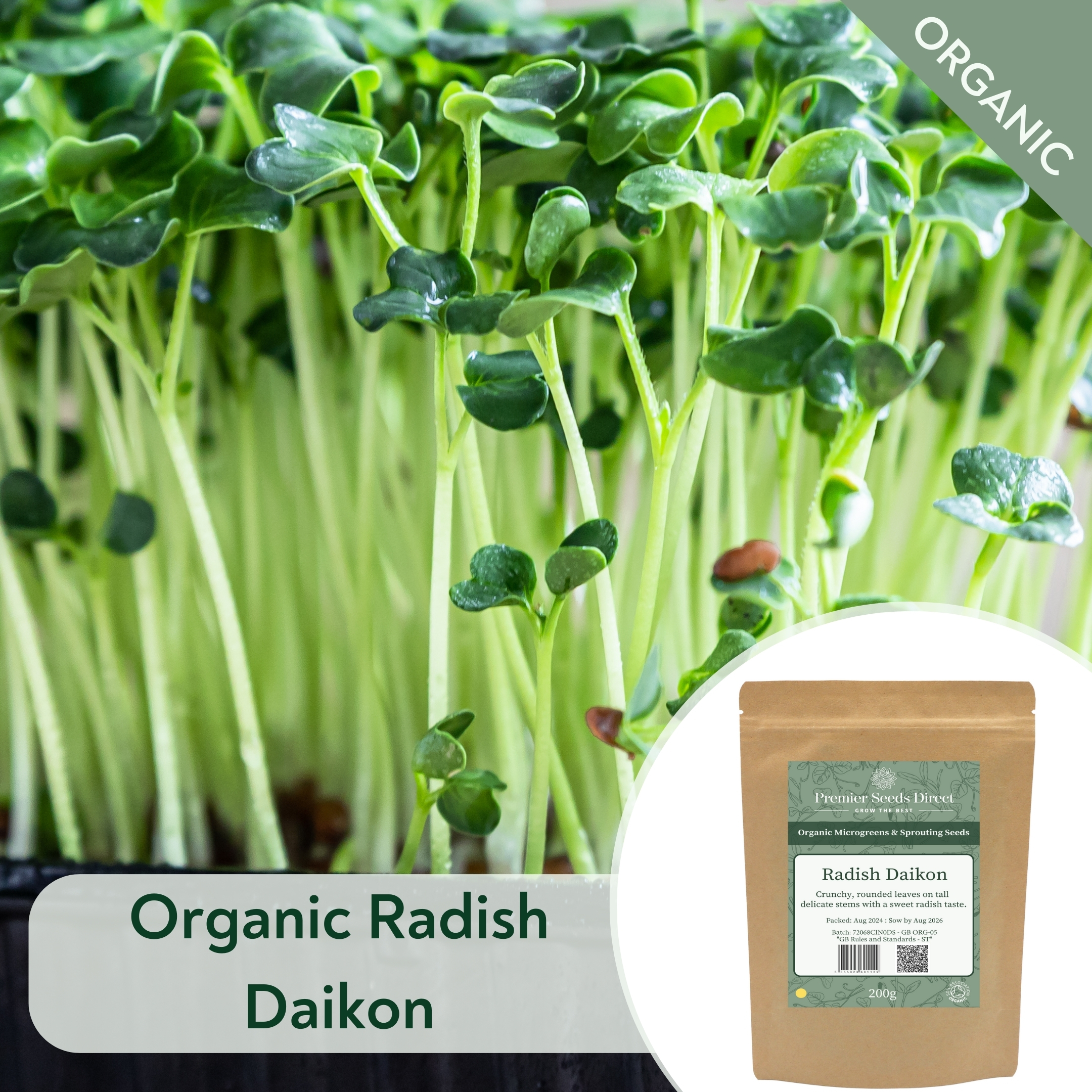 ORG Radish Daikon