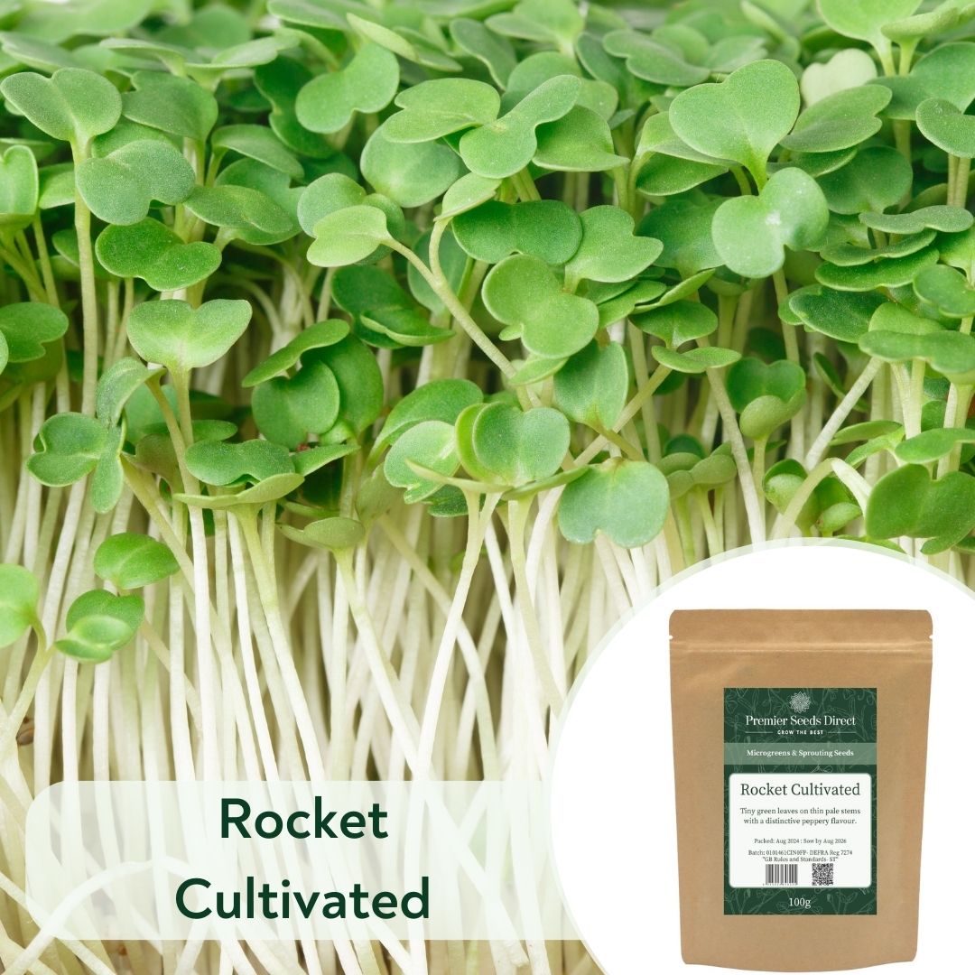 Rocket Cultivated (2)