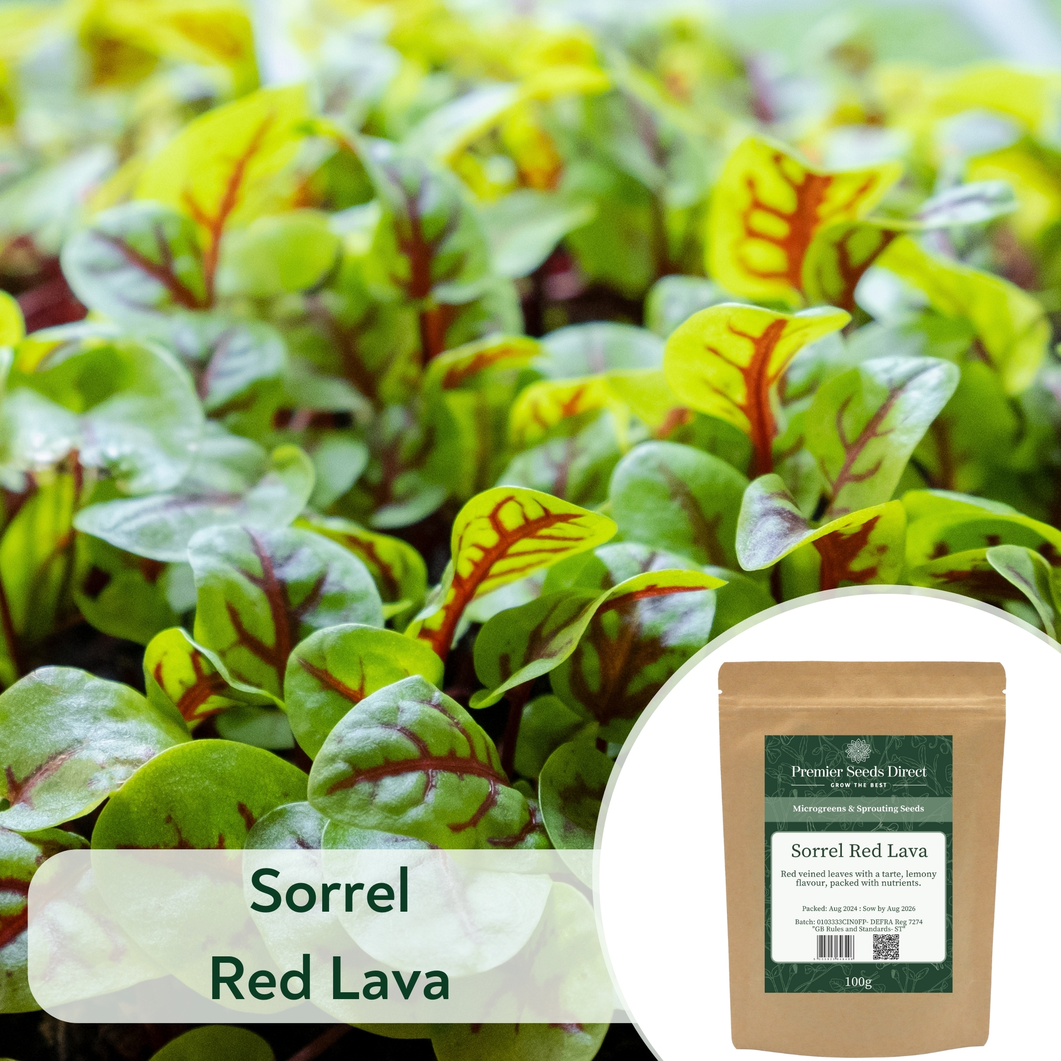 Sorrel Red Lava