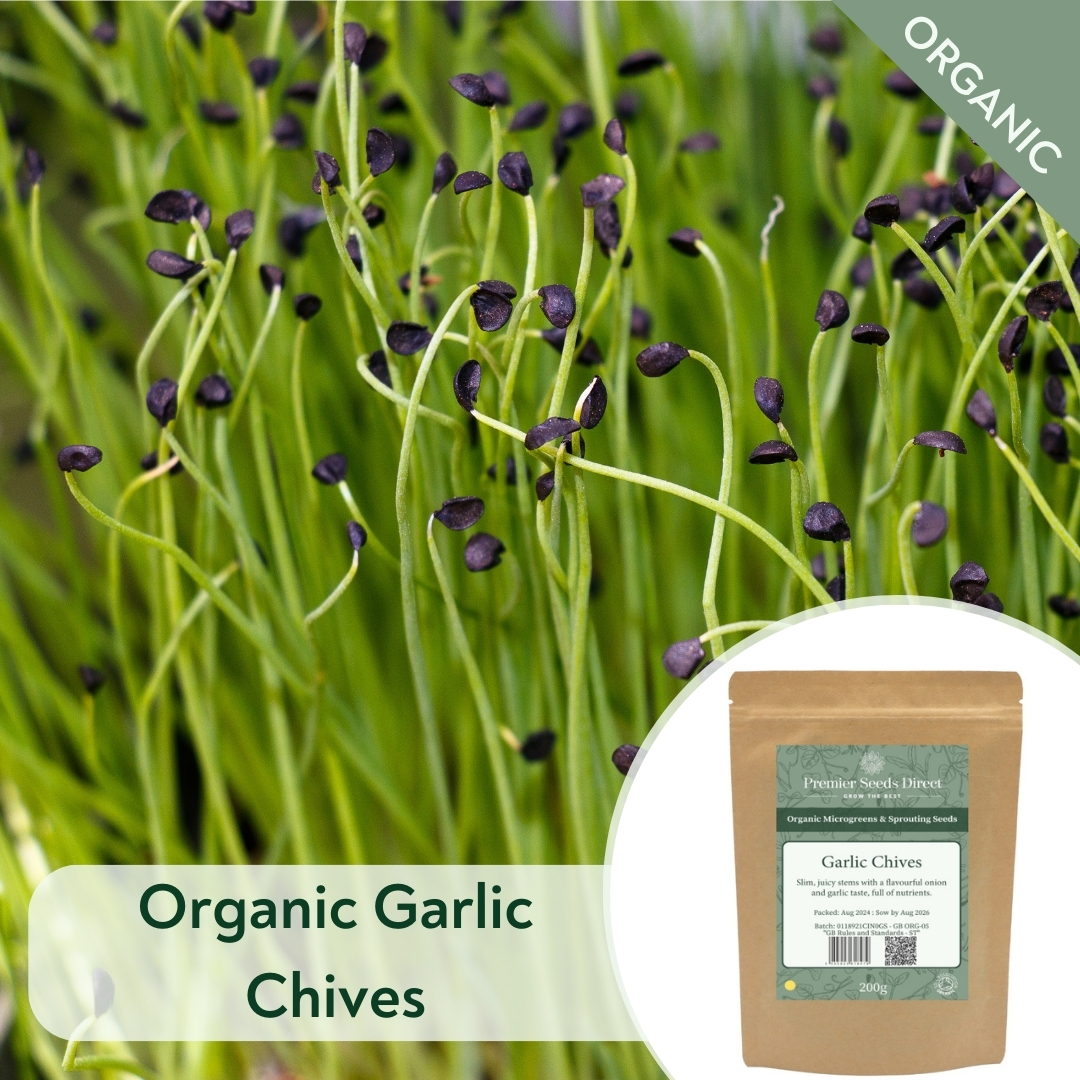 ORG Garlic Chives