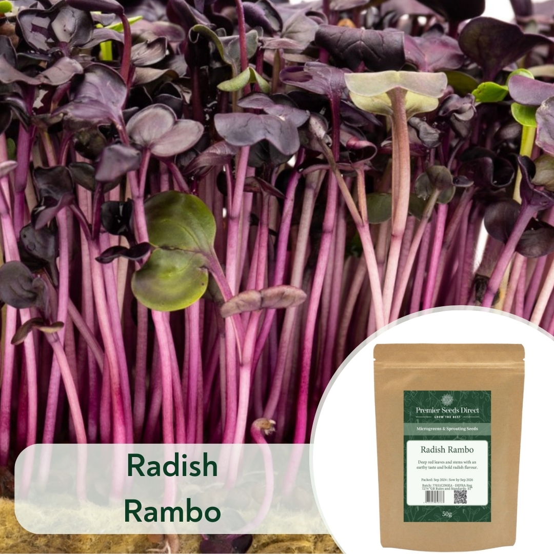 Radish Rambo (1)