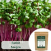 Radish Sangria - Microgreen/Sprouting