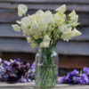 Sweet Pea Spencer Ice Cream - Image 2