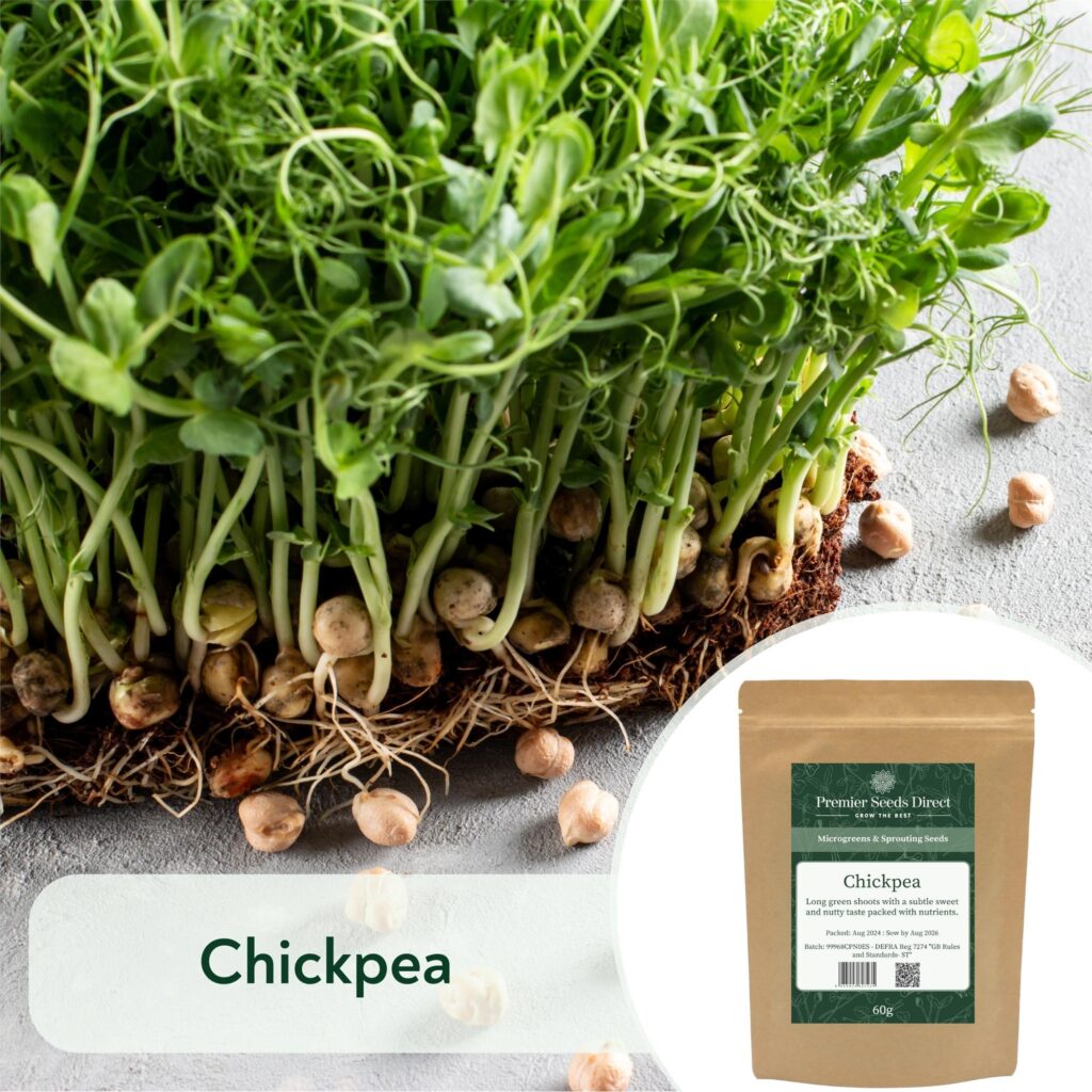 Chickpea Microgreen/Sprouting Premier Seeds Direct