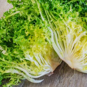 Endive Fine Maraichere