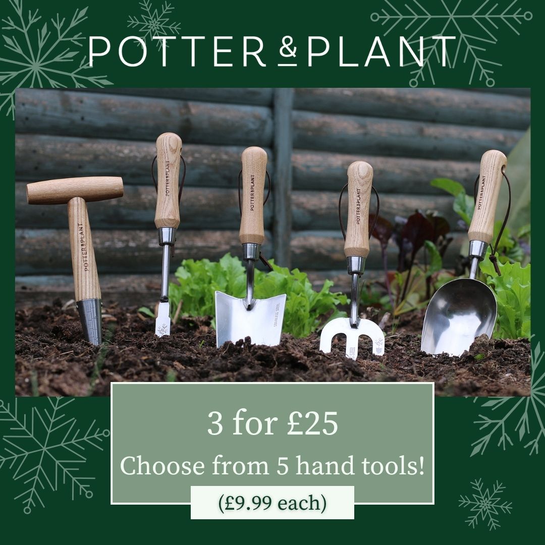 five metal tools with wooden handles half dug into the soil with a wooden shed backdrop