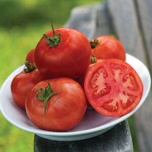 Tomato - Fordhook Early F1