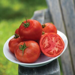 Tomato Fordhook Early F1