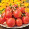 Tomato - Oh Happy Days - Image 3
