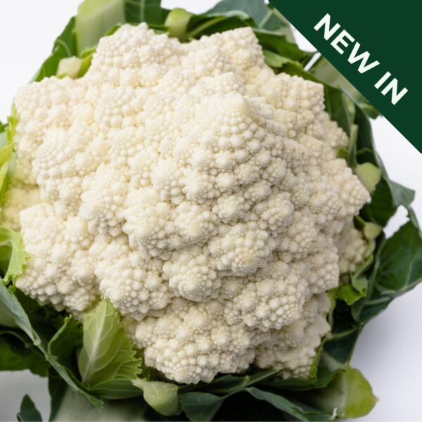 Cauliflower - Cartesio F1