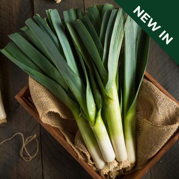 Leek Jolant