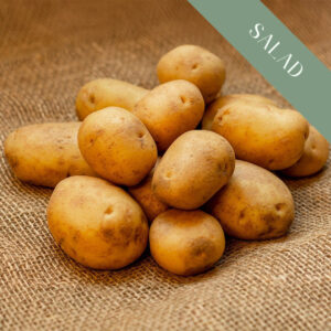 A pile of Charlotte salad potatoes on burlap.