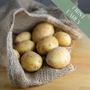 Pentland Javelin potatoes in burlap on a wooden surface.