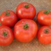 Tomato - Fireworks - Image 2