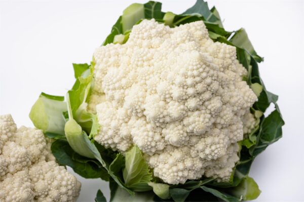 Cauliflower - Cartesio F1