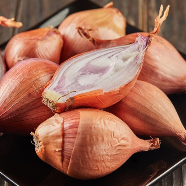 Shallots Longor