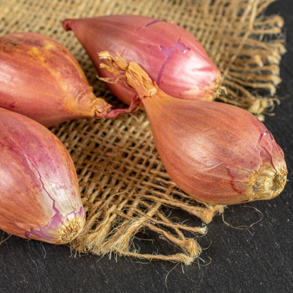 Shallots Longor - Image 3