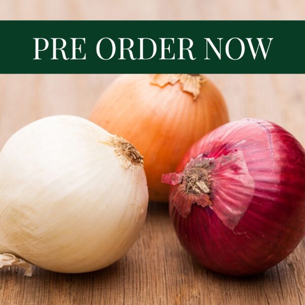 Onion Sets Mix