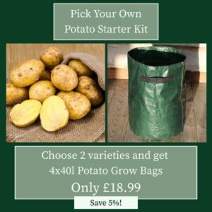 Seed Potato 'Starter Pack'