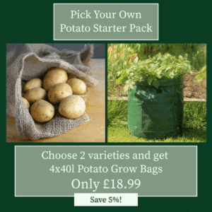 Seed Potatoes Starter Pack