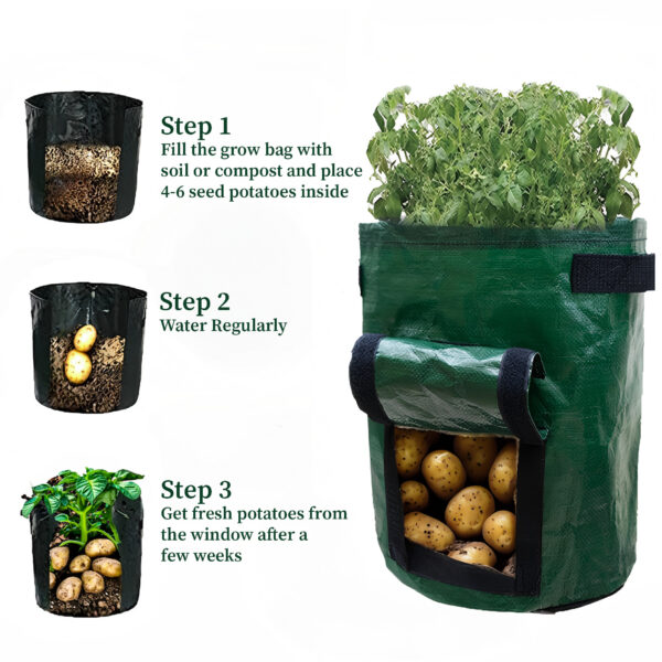 Seed Potato Starter Pack - Image 2