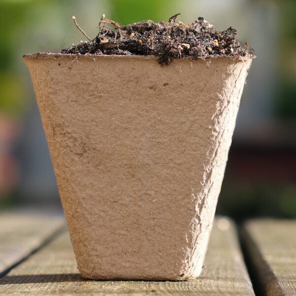 8cm Biodegradable Pots (Square) - Image 2