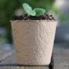 8cm Biodegradable Pots (Round ) - Image 2