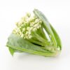 Cauliflower Fioretto - Image 3