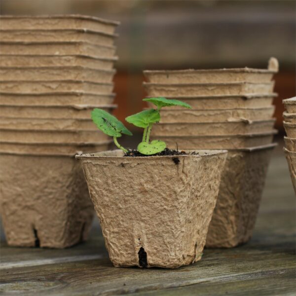 6cm Biodegradable Pots (Square)