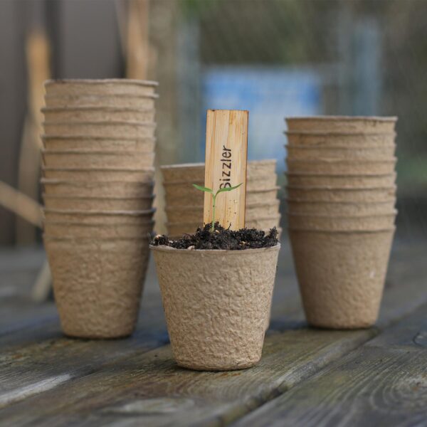 6cm Biodegradable Pots (Round)