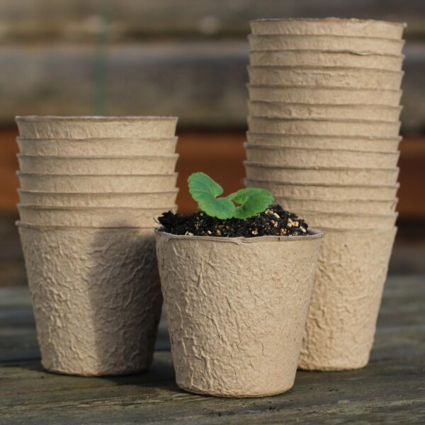 8cm Biodegradable Pots (Round )