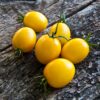 Tomato Sunlemon F1 - Image 3