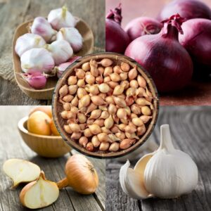 Autumn Onion, Garlic and Shallots Collection