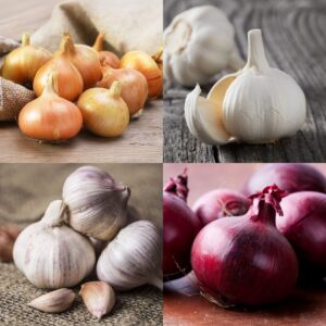 Autumn Onion & Garlic Collection