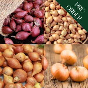 Autumn Onion & Shallot Collection