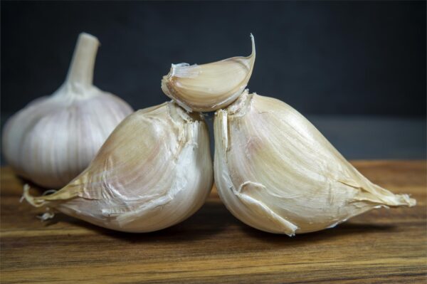Garlic Elephant - Image 2