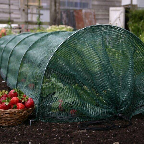 Easy Net Tunnel - Image 2
