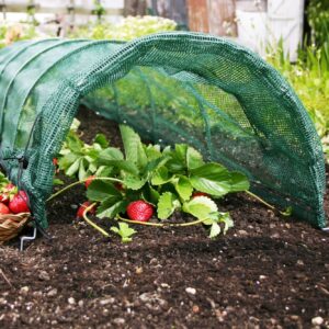 Easy Net Tunnel
