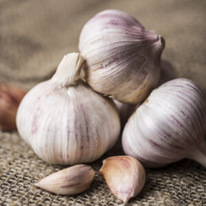 Garlic Cloves - Germidour