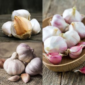 The Garlic Trio